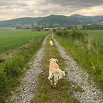 Posrod Gor - Jacuzzi Wliczone W Cenie Pobytu,bajeczne Widoki, Relax I Spokoj Laski (Zabkowice Slaskie)