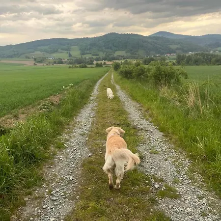 Posrod Gor - Jacuzzi Wliczone W Cenie Pobytu,bajeczne Widoki, Relax I Spokoj Laski (Zabkowice Slaskie)